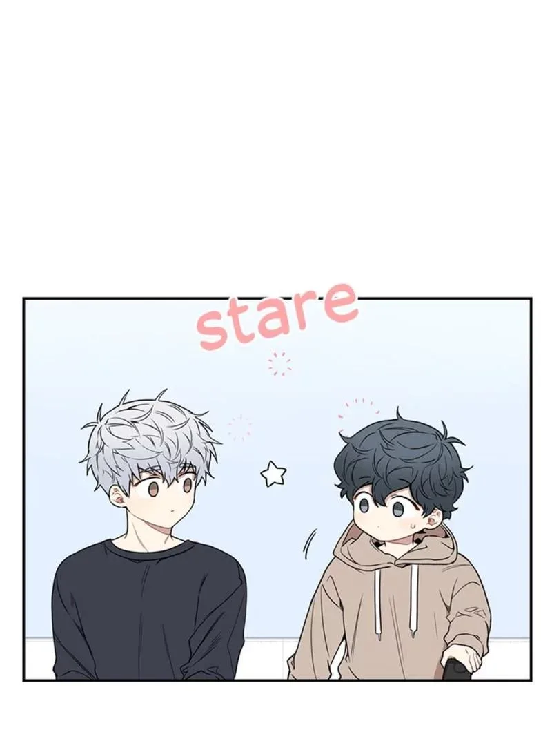 Cherry Blossoms After Winter Chapter 63 page 15