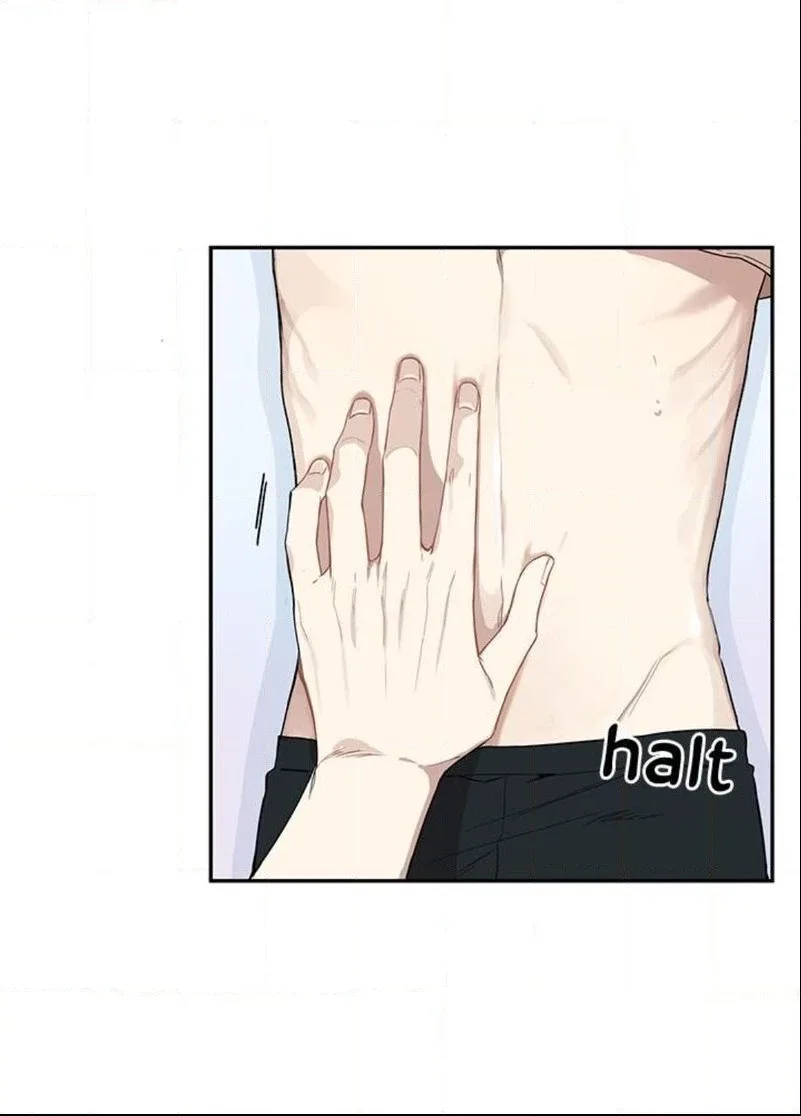 Cherry Blossoms After Winter Chapter 63 page 51