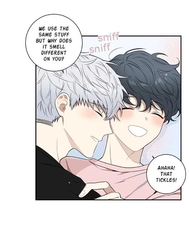 Cherry Blossoms After Winter Chapter 65 page 23
