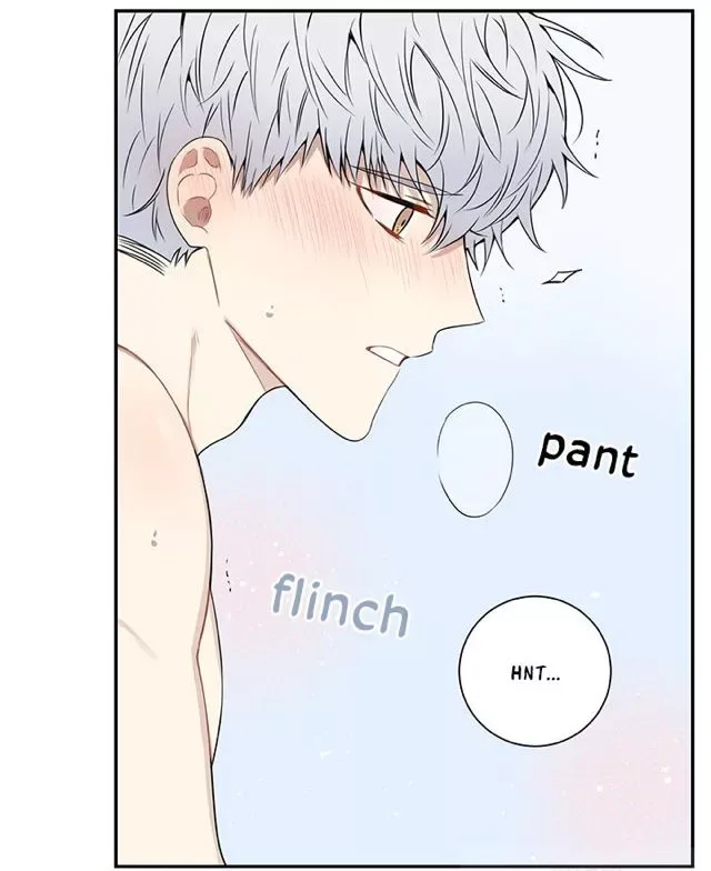 Cherry Blossoms After Winter Chapter 66 page 61