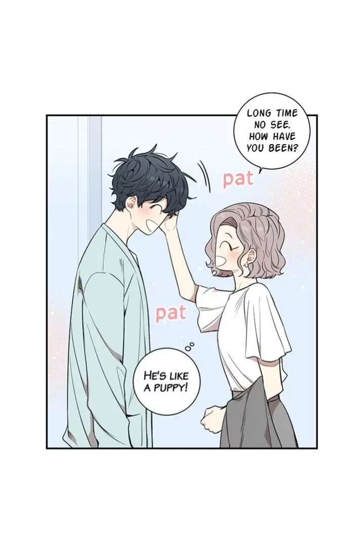 Cherry Blossoms After Winter Chapter 70 page 46