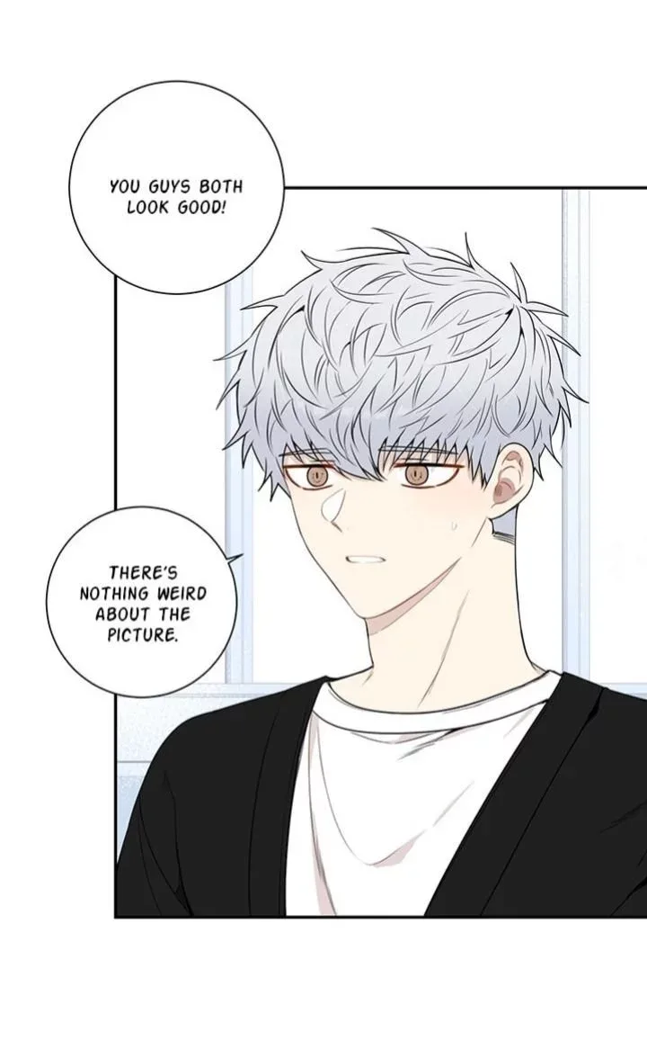 Cherry Blossoms After Winter Chapter 71 page 28