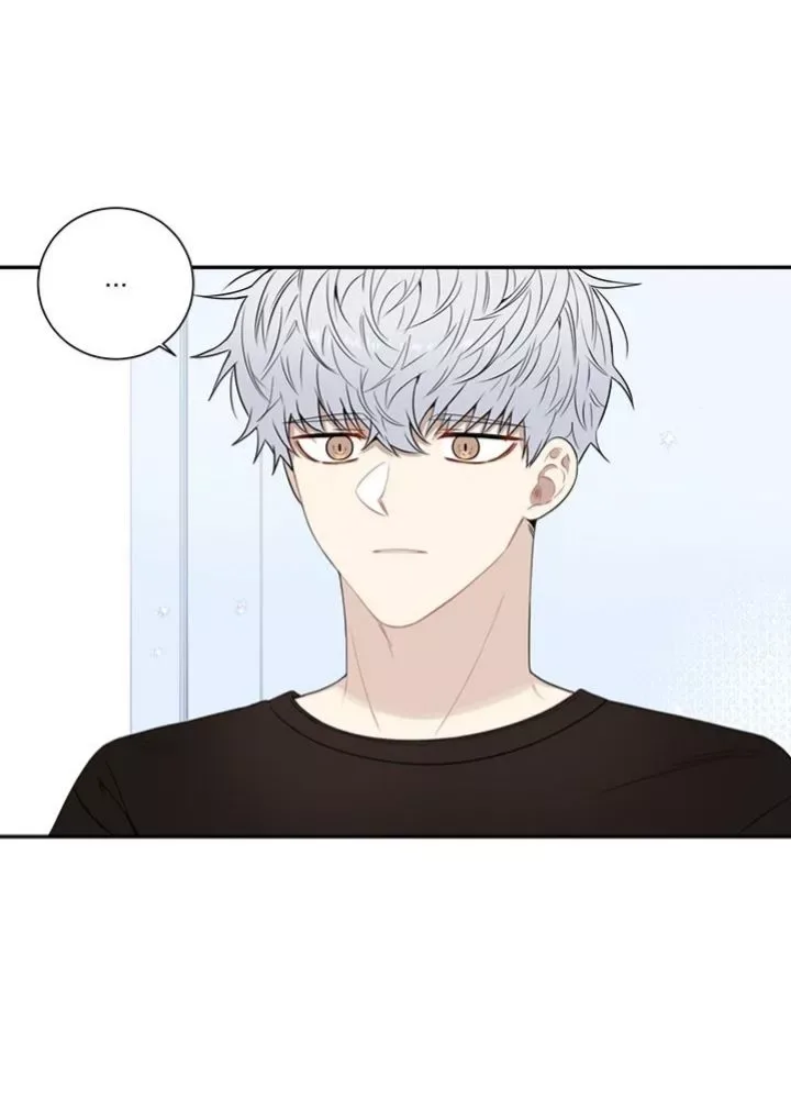 Cherry Blossoms After Winter Chapter 71 page 51