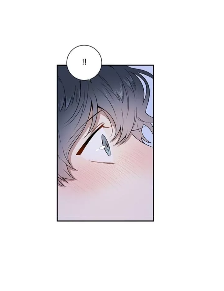 Cherry Blossoms After Winter Chapter 71 page 58