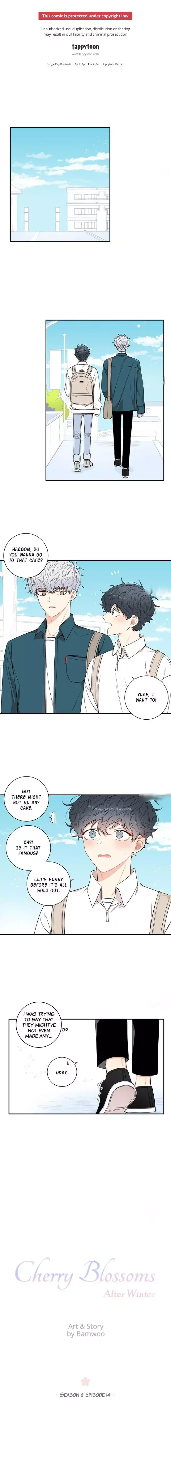 Cherry Blossoms After Winter Chapter 76 page 1