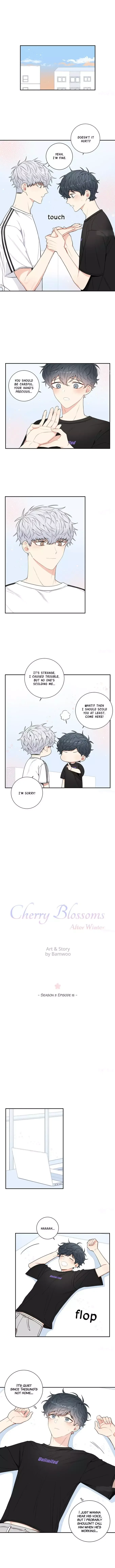 Cherry Blossoms After Winter Chapter 77 page 4