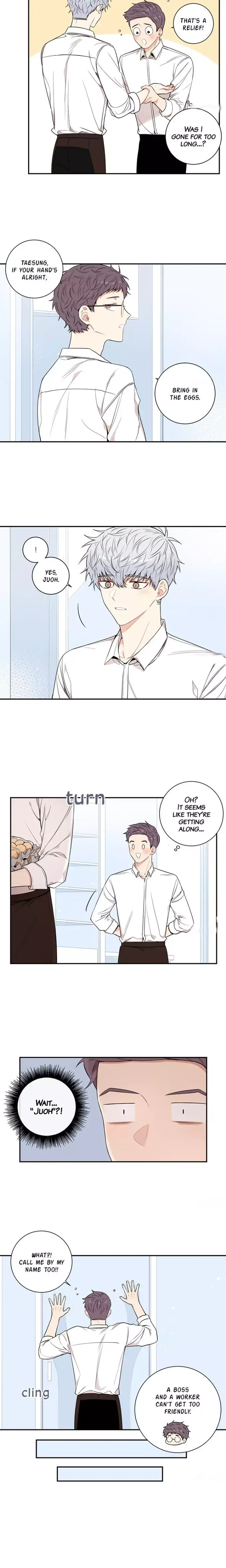 Cherry Blossoms After Winter Chapter 77 page 3