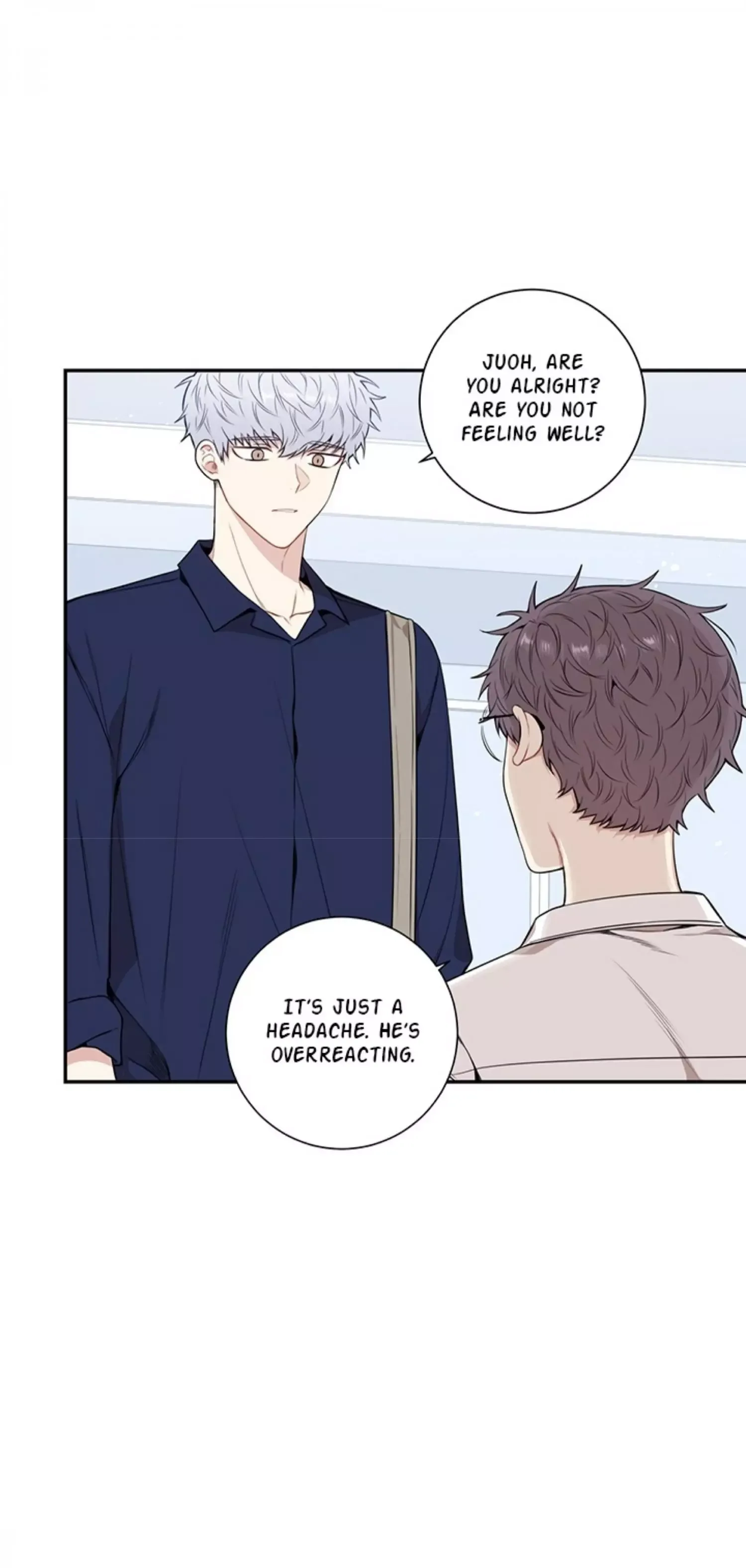 Cherry Blossoms After Winter Chapter 81 page 12
