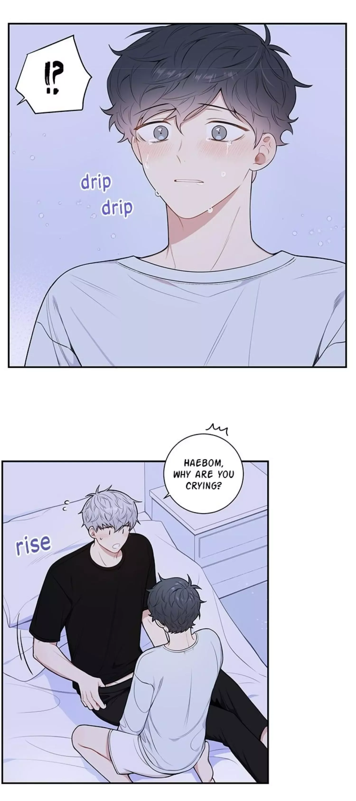 Cherry Blossoms After Winter Chapter 85 page 12