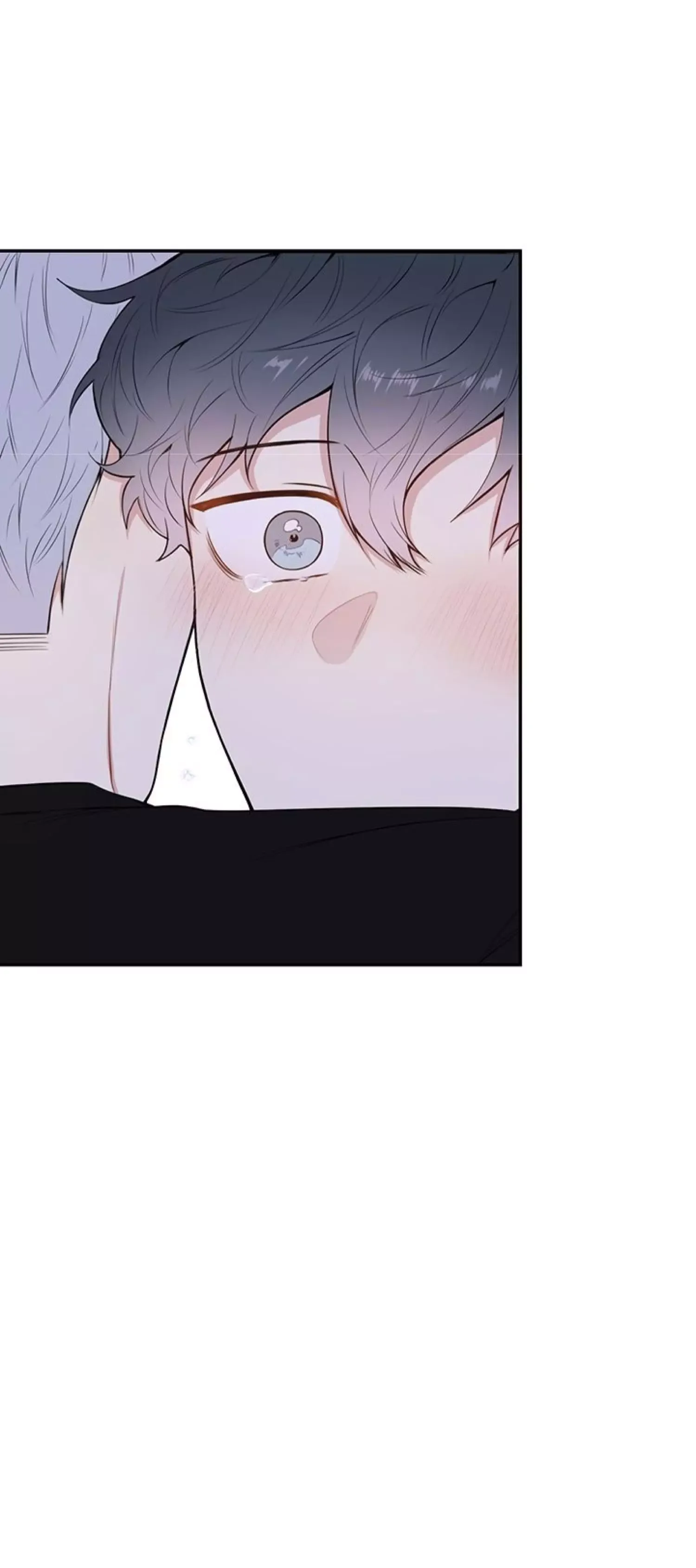 Cherry Blossoms After Winter Chapter 85 page 31