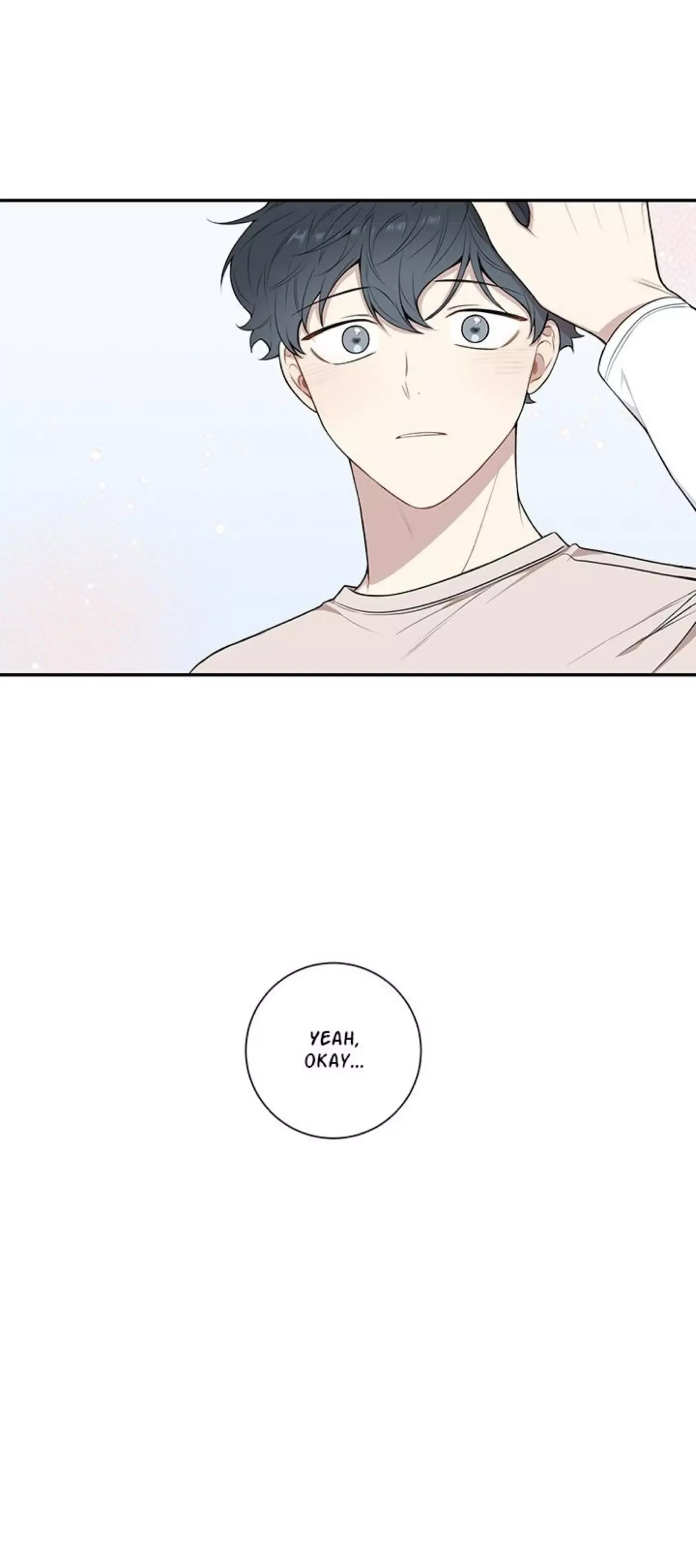 Cherry Blossoms After Winter Chapter 86 page 19