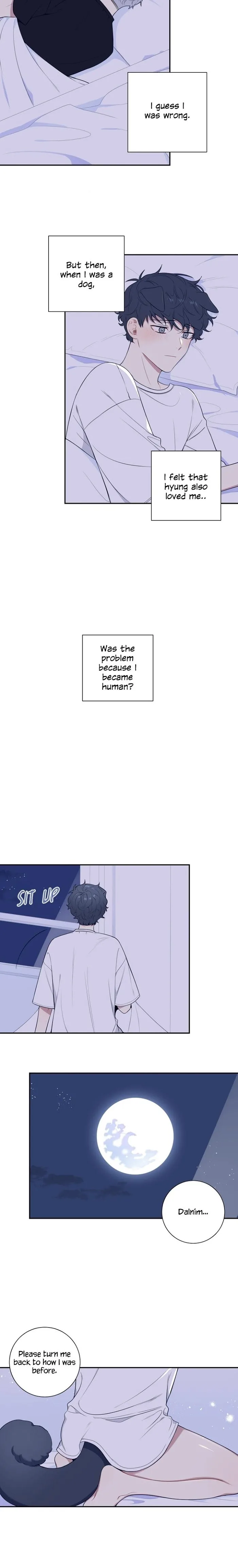Cherry Blossoms After Winter Chapter 90.3 page 18