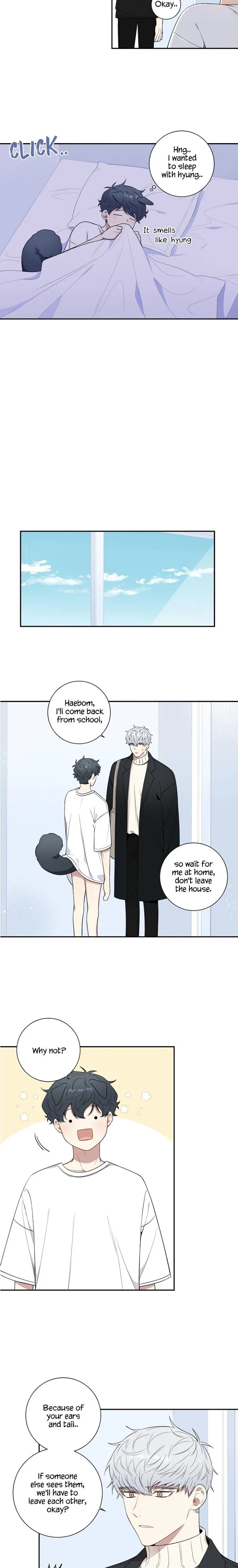 Cherry Blossoms After Winter Chapter 90.3 page 10