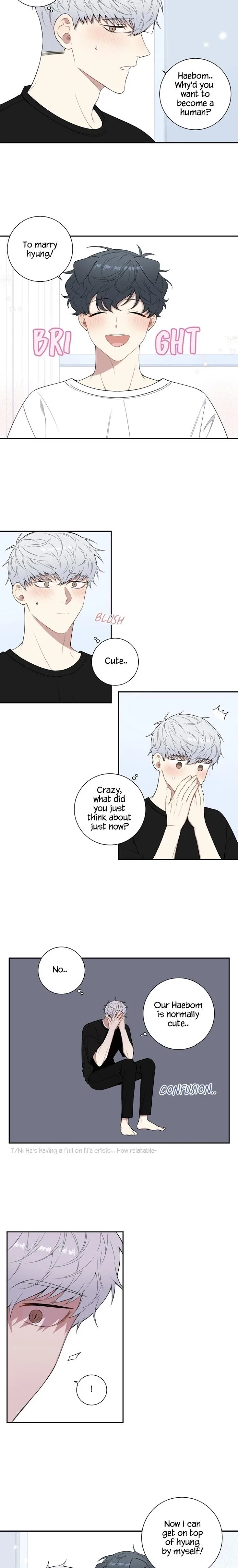 Cherry Blossoms After Winter Chapter 90.3 page 6