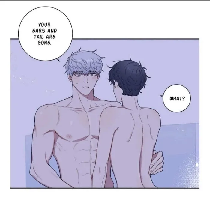 Cherry Blossoms After Winter Chapter 90.4 page 64