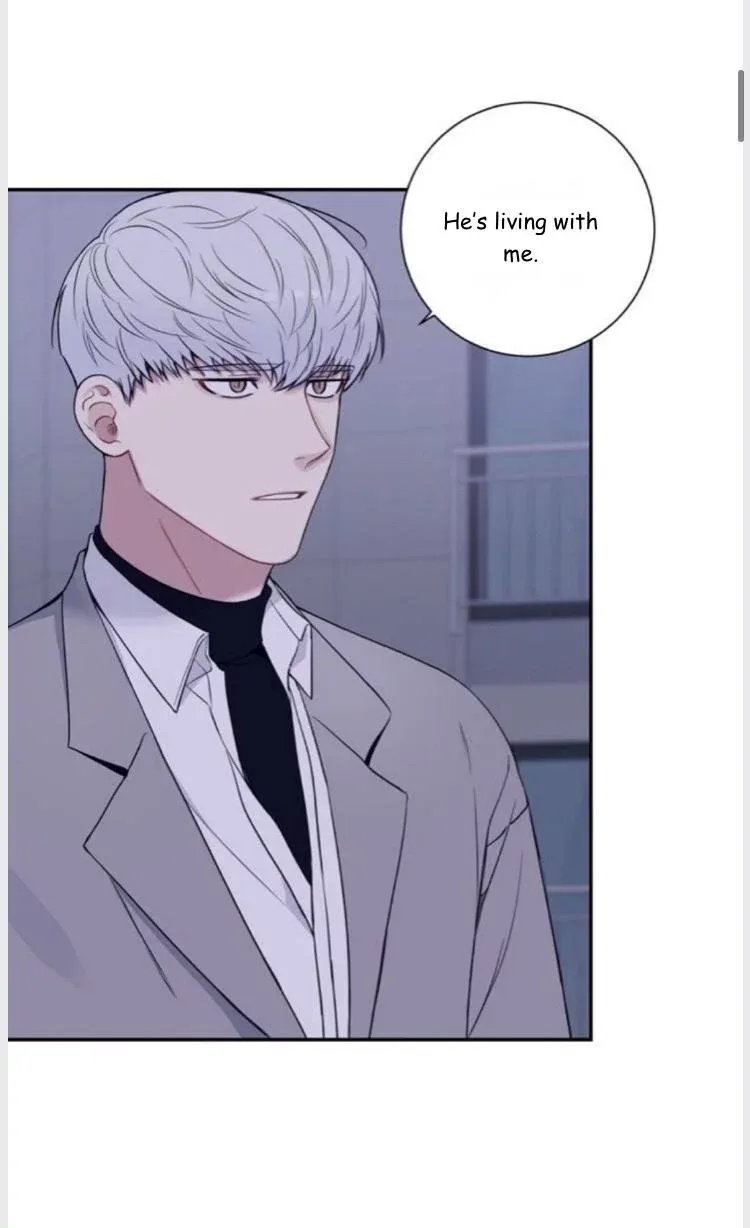Cherry Blossoms After Winter Chapter 96 page 11
