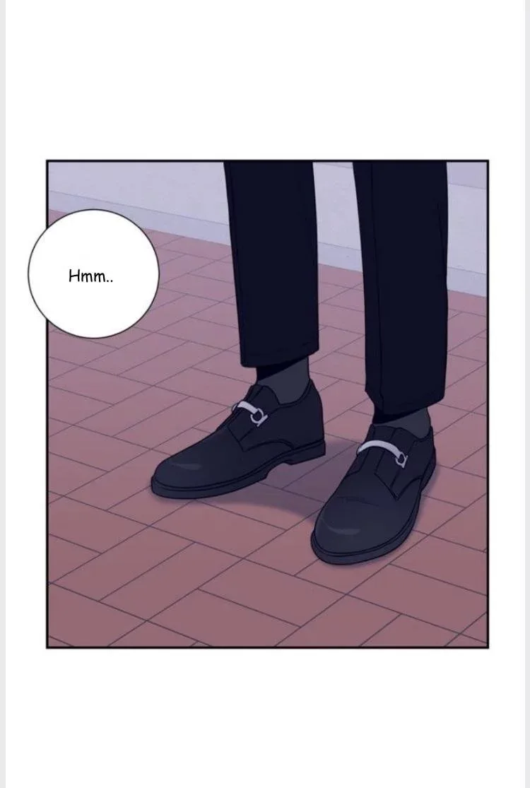 Cherry Blossoms After Winter Chapter 96 page 12