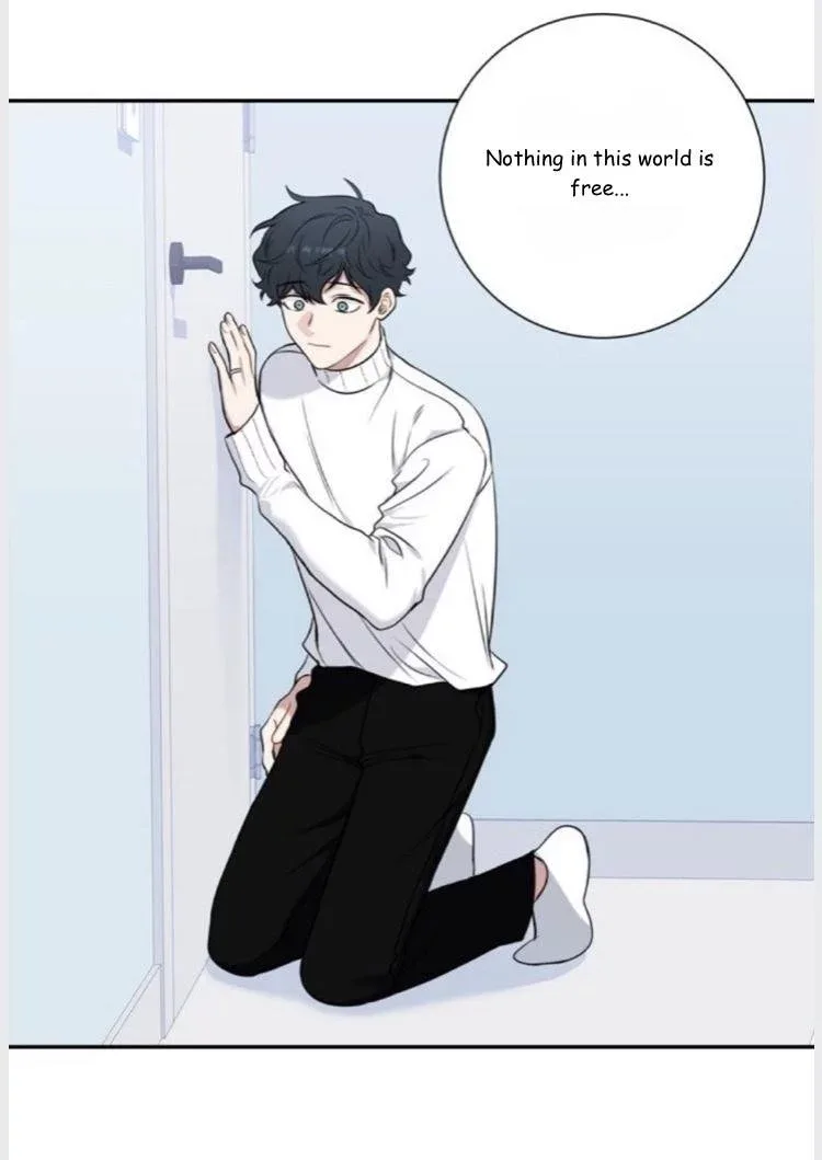 Cherry Blossoms After Winter Chapter 96 page 35