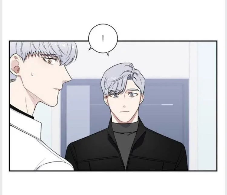 Cherry Blossoms After Winter Chapter 96 page 43