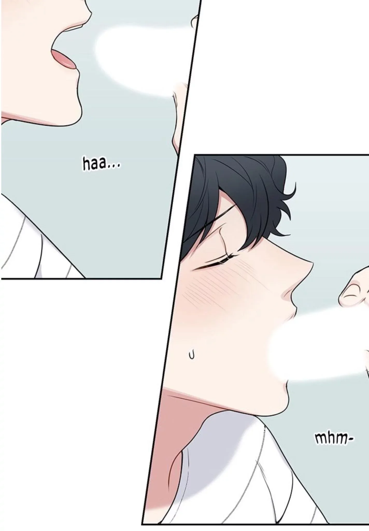 Cherry Blossoms After Winter Chapter 98 page 13