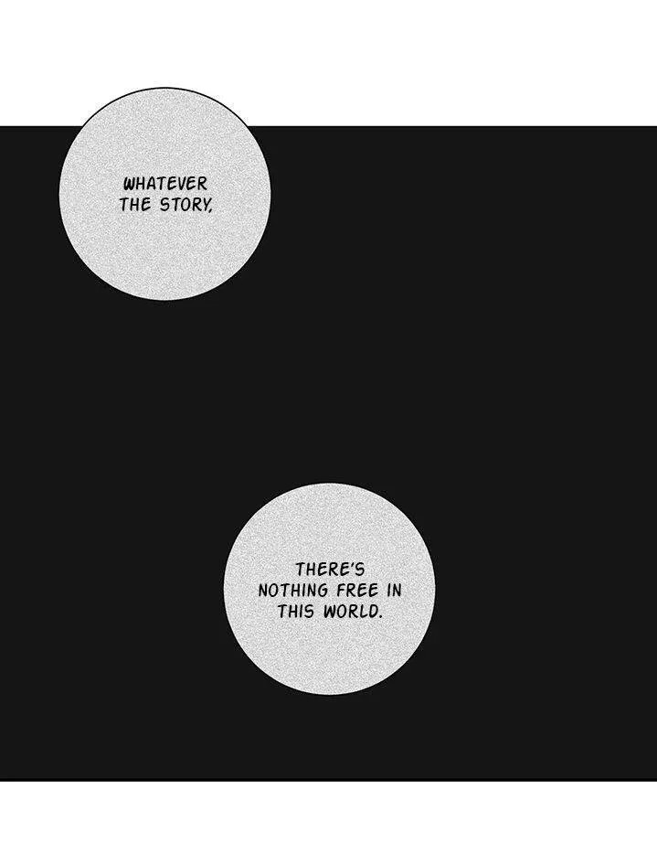 Cherry Blossoms After Winter Chapter 98 page 47