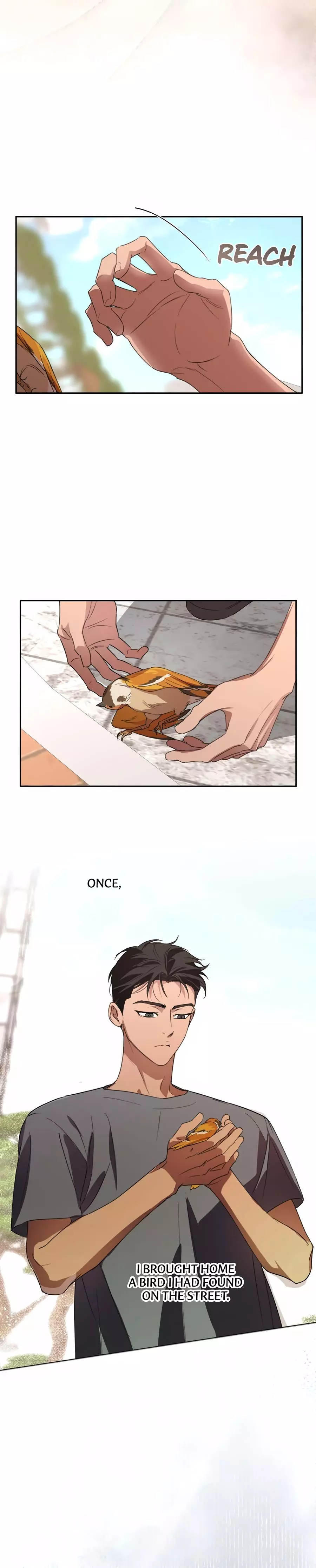 Circuit Breaker Chapter 55 page 15