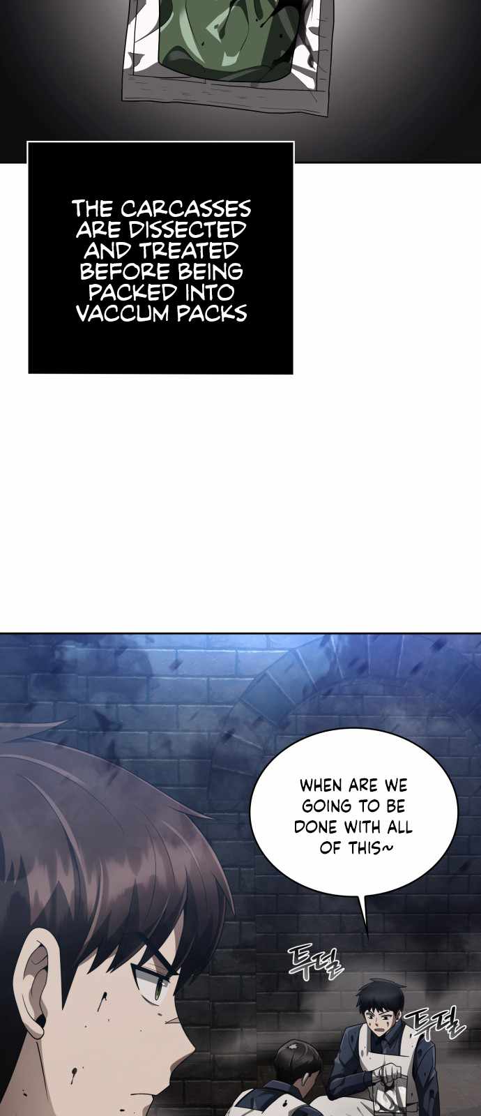 Clever Cleaning Life Of The Returned Genius Hunter Chapter 16 page 9