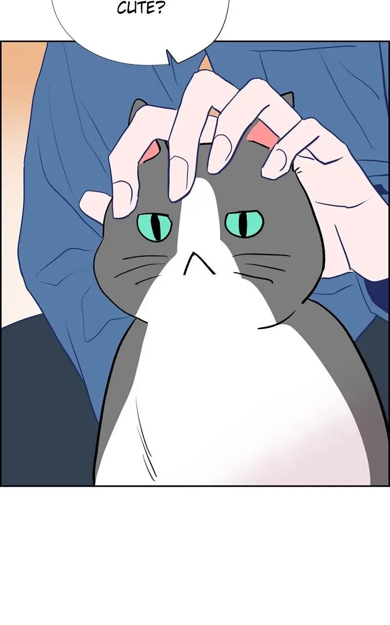 Copy-Paste Romance Chapter 22 page 78