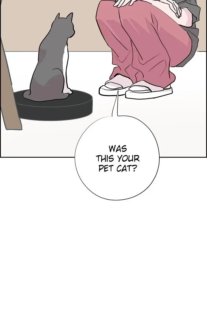 Copy-Paste Romance Chapter 22 page 85