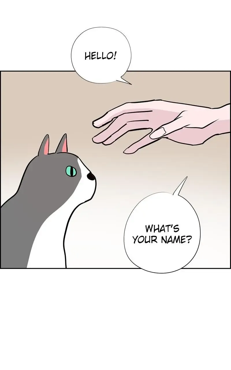 Copy-Paste Romance Chapter 22 page 86