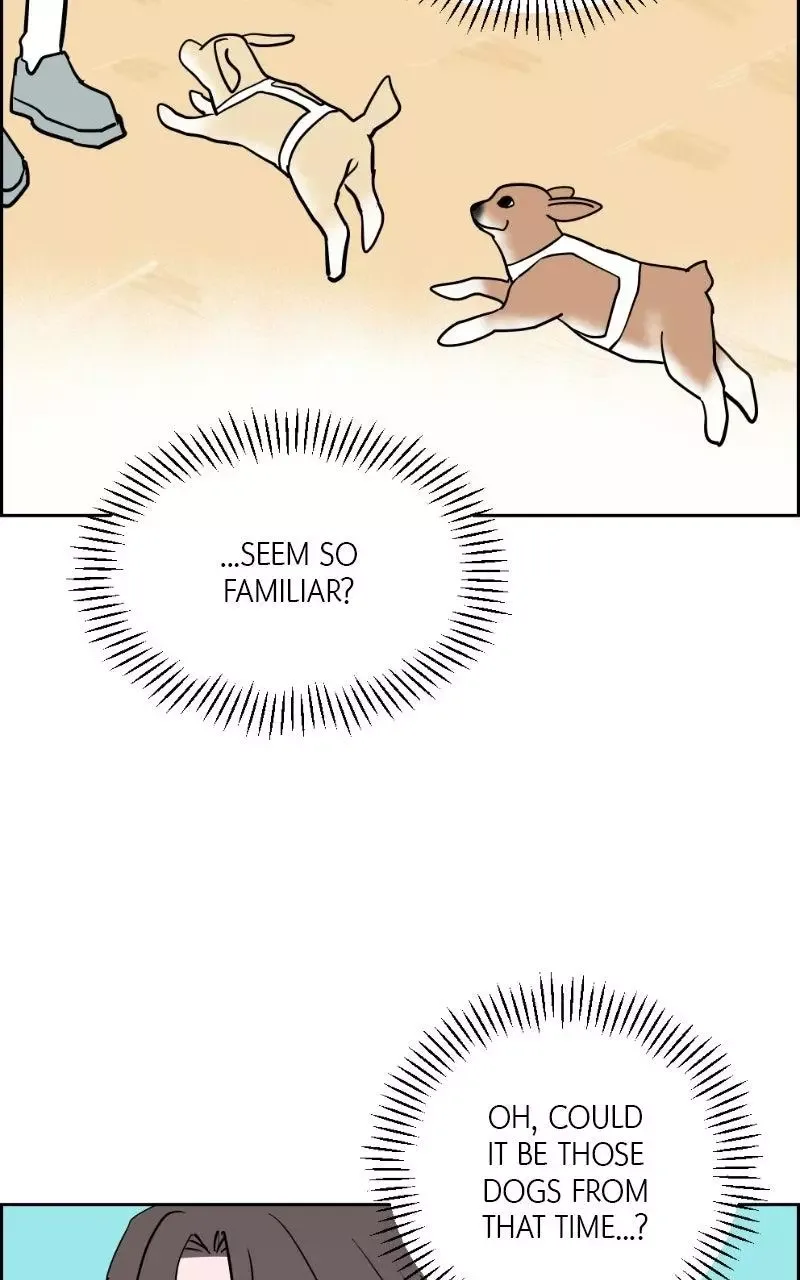Copy-Paste Romance Chapter 42 page 100
