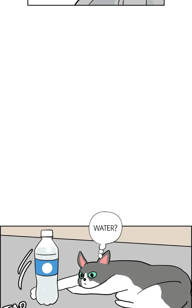 Copy-Paste Romance Chapter 62 page 5