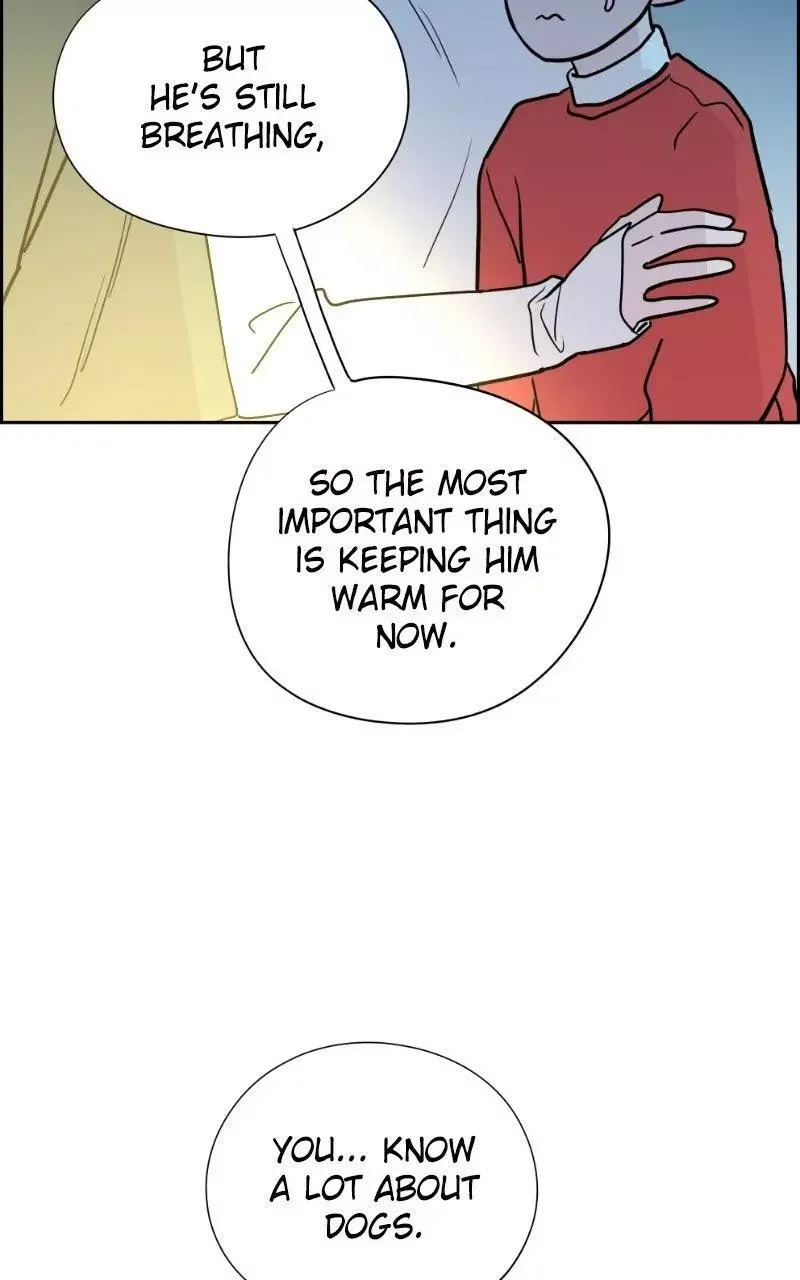 Copy-Paste Romance Chapter 64 page 59