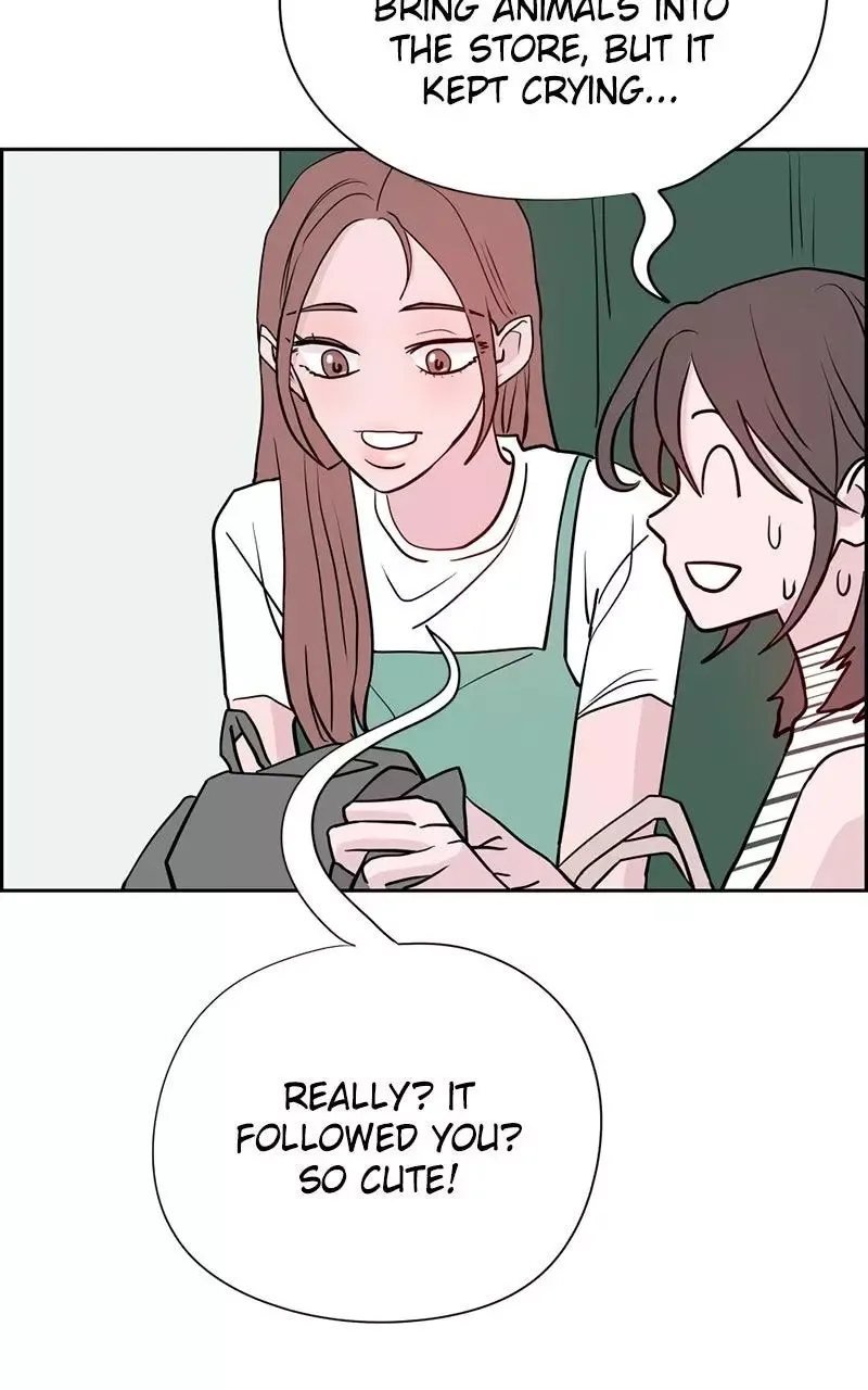 Copy-Paste Romance Chapter 8 page 41