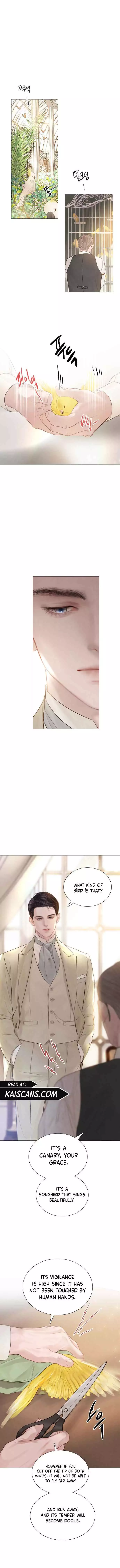 Cry, Even Better If You Beg Chapter 11 page 8