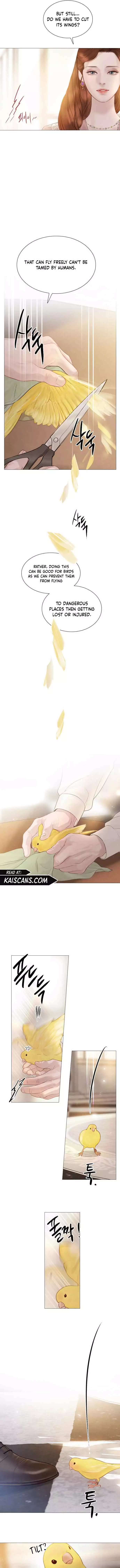 Cry, Even Better If You Beg Chapter 11 page 9