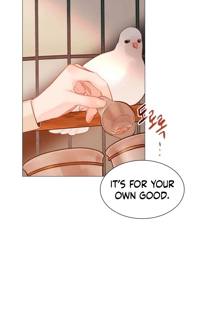 Cry, Even Better If You Beg Chapter 65 page 41