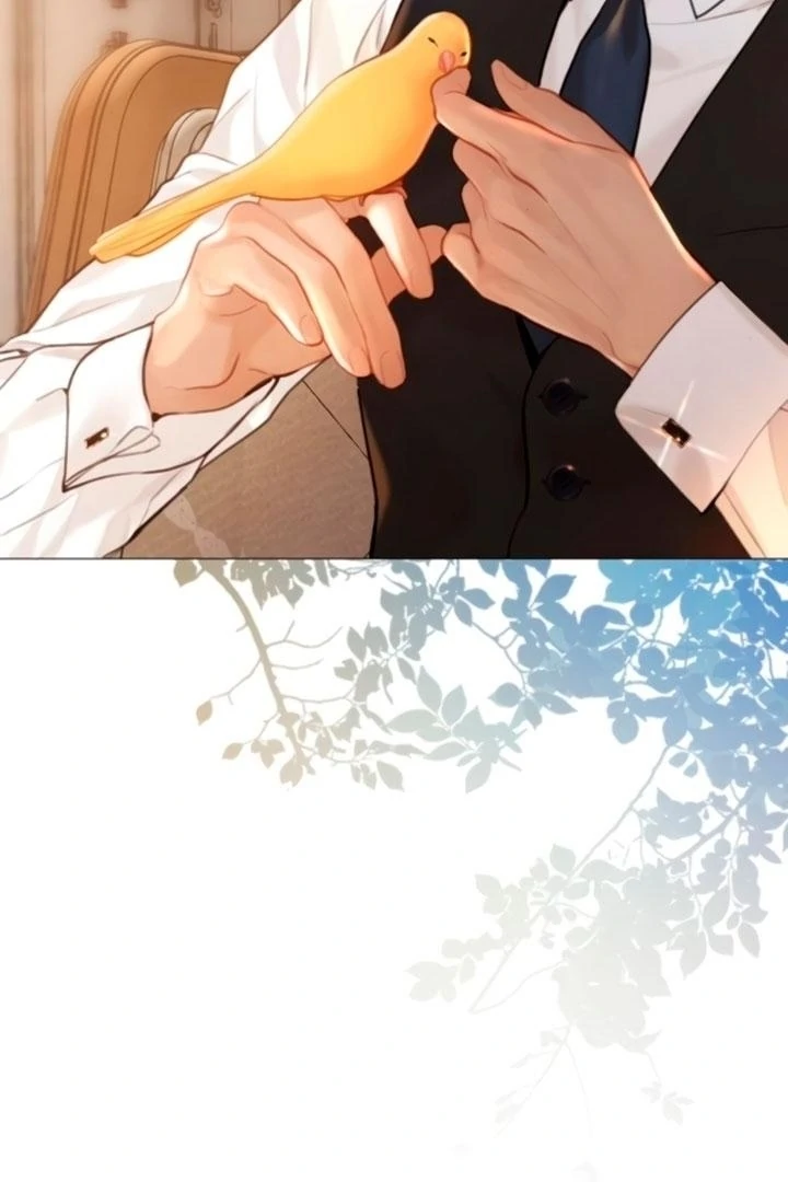 Cry, Even Better If You Beg Chapter 68 page 8