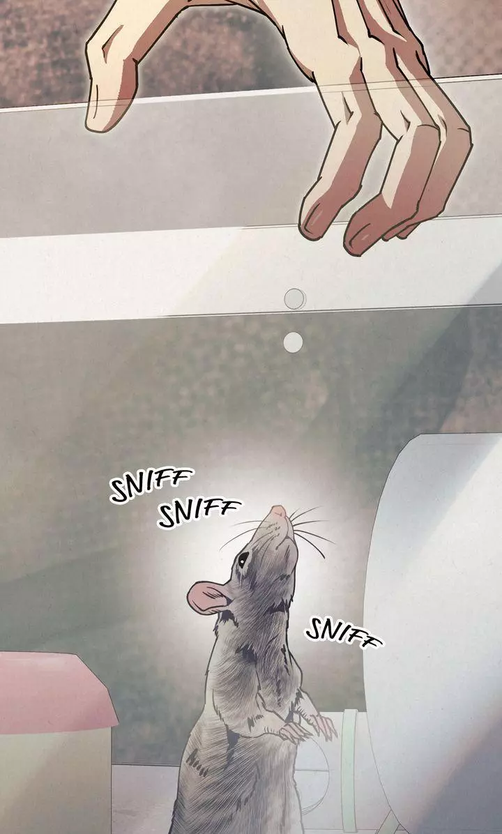 Dazzling Breath Chapter 39 page 41