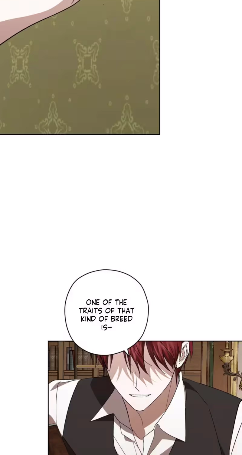 Dear Anonymous Sponsor Chapter 63 page 42