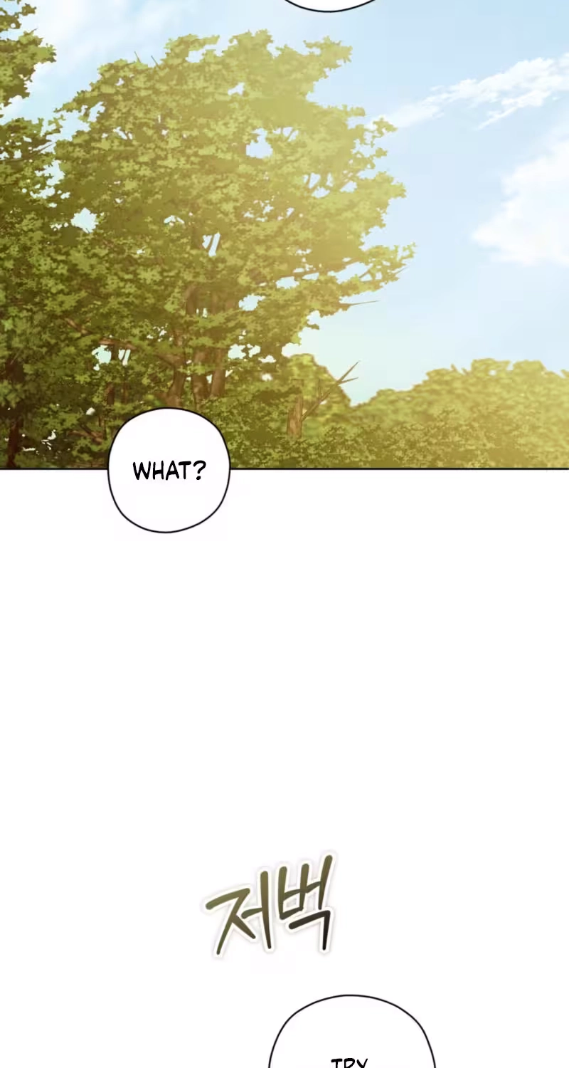 Dear Anonymous Sponsor Chapter 64 page 47