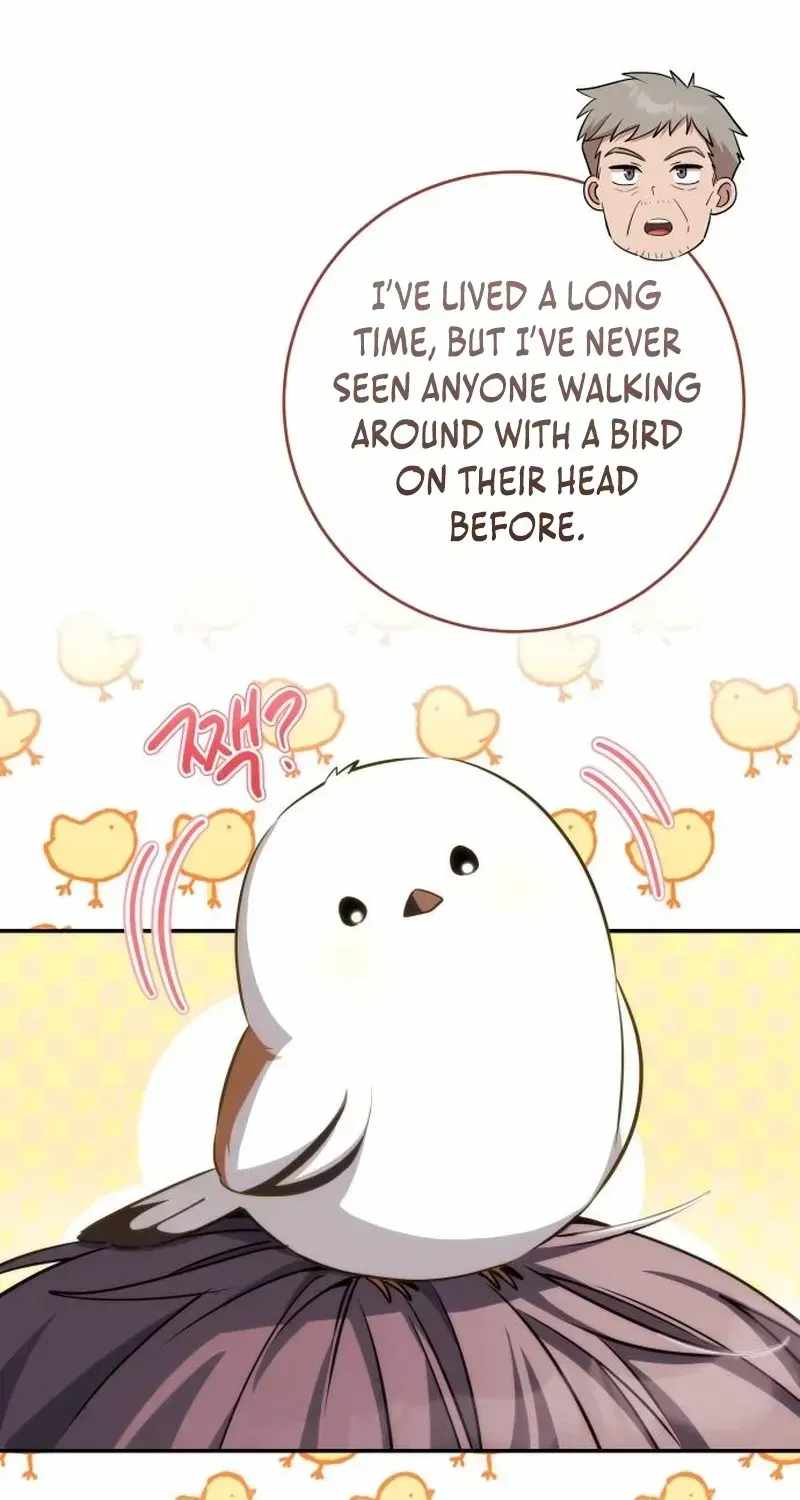 Devely’s Healing Time Chapter 5 page 8