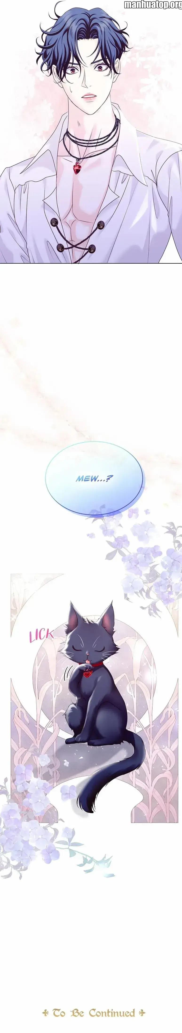 Did You Like Me? Chapter 4 page 20