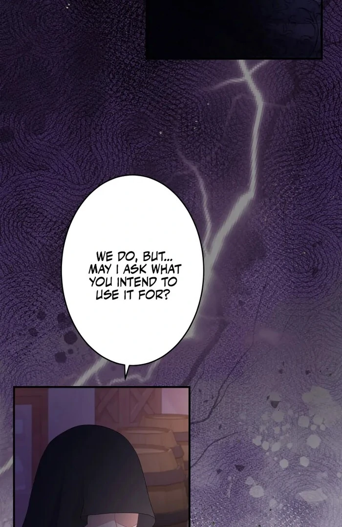 Disgraced Wife? This Beloved Genius Mage Will Secure Her Divorce! Chapter 20 page 133