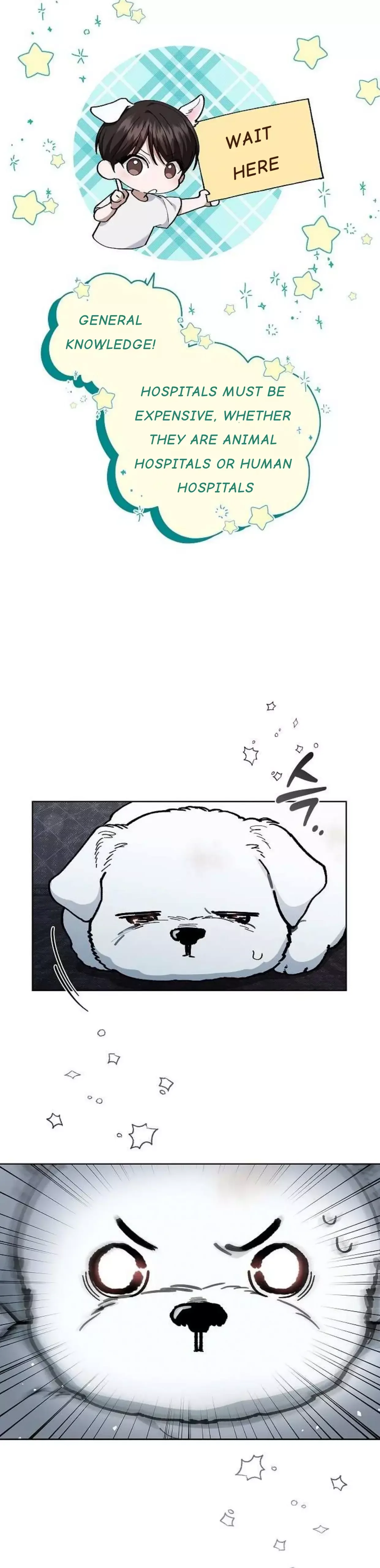 Don't Mess With the Puppy! Chapter 3 page 34