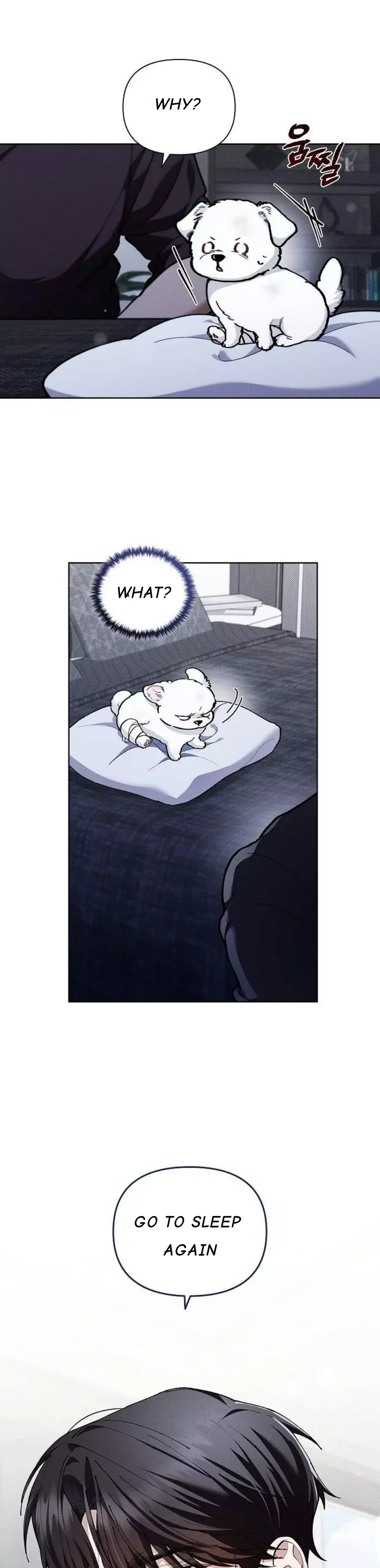 Don't Mess With the Puppy! Chapter 3 page 37