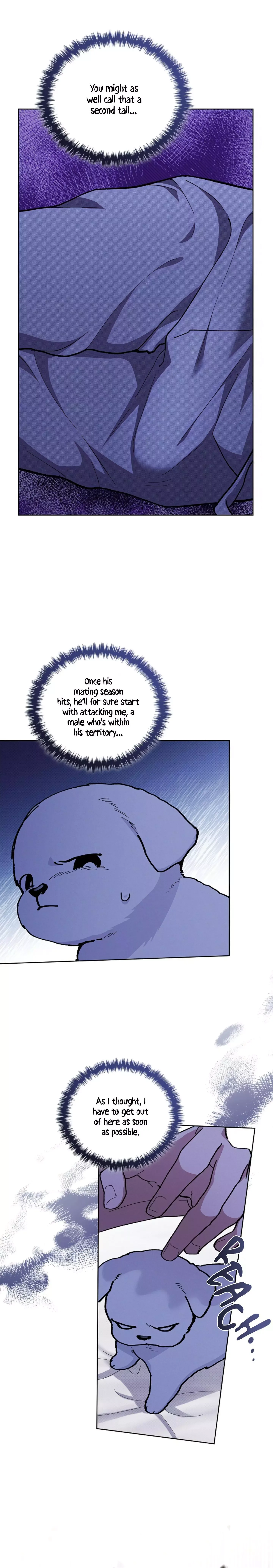 Don't Mess With the Puppy! Chapter 7 page 19