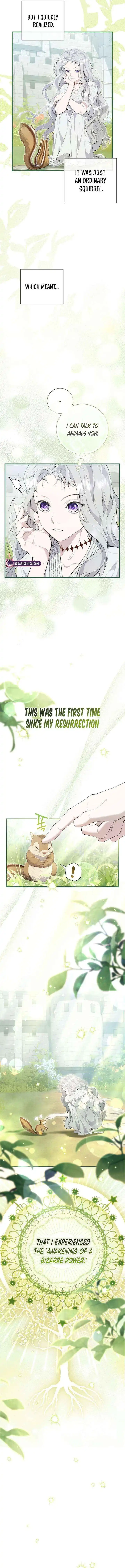 Don’t look for the resurrected Villainess Chapter 2 page 12