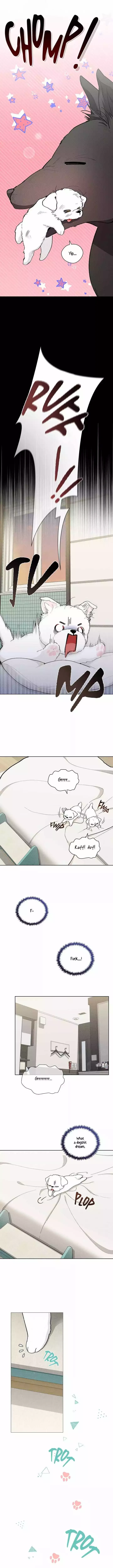 Don’t Mess With The Puppy! Chapter 1 page 6
