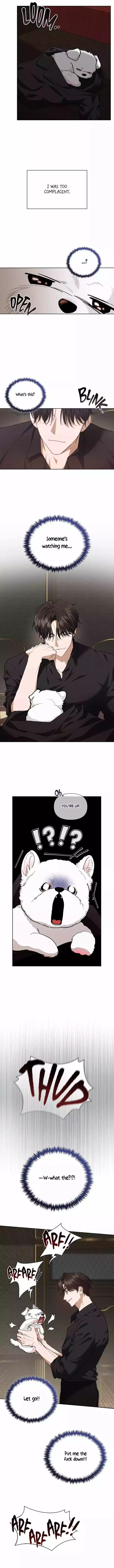 Don’t Mess With The Puppy! Chapter 1 page 15